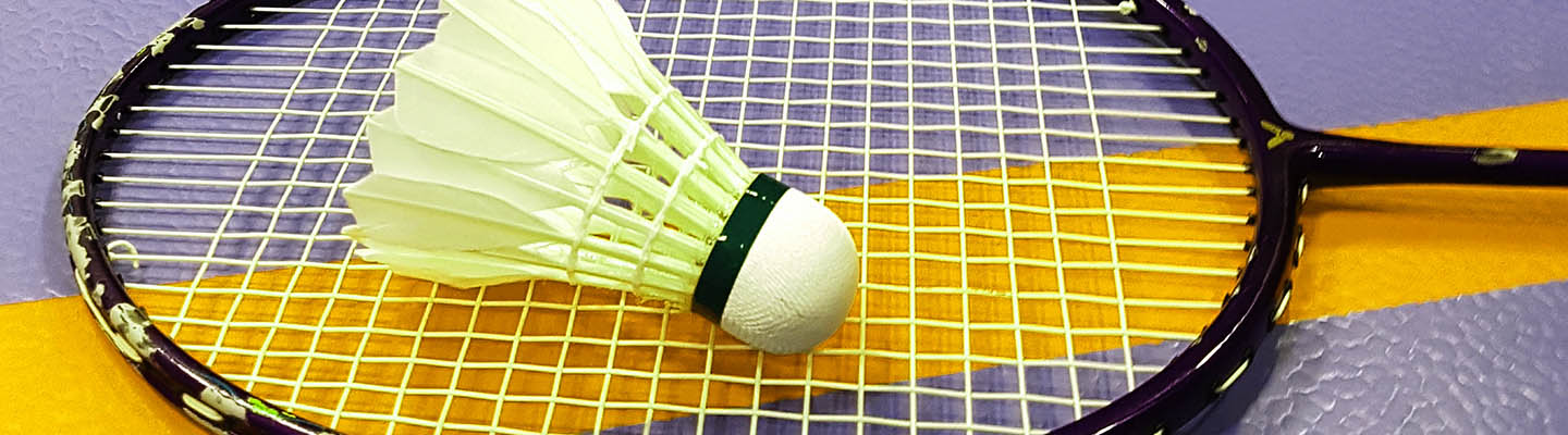 Sports et stades